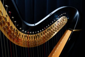 Audition du département Cordes