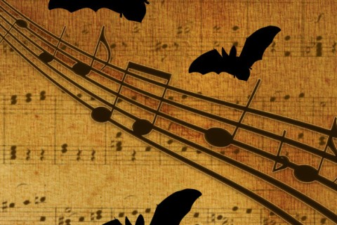 Spectacles chant choral