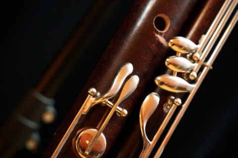 Audition du département Bois