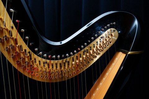 Audition du département Cordes