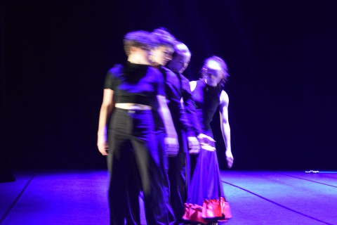 Spectacles chorégraphiques